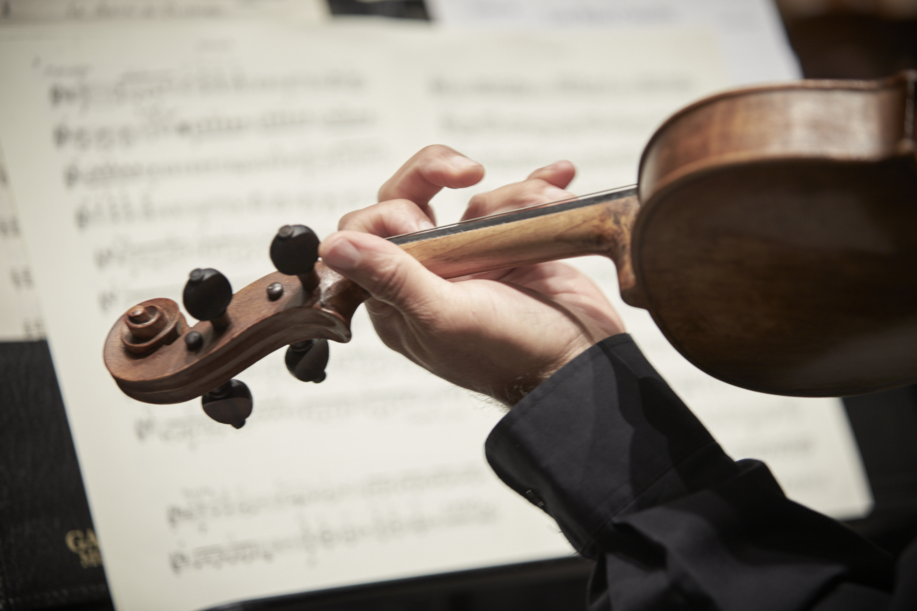 A violin